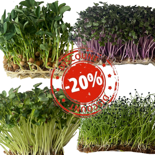 12x Garden Mix